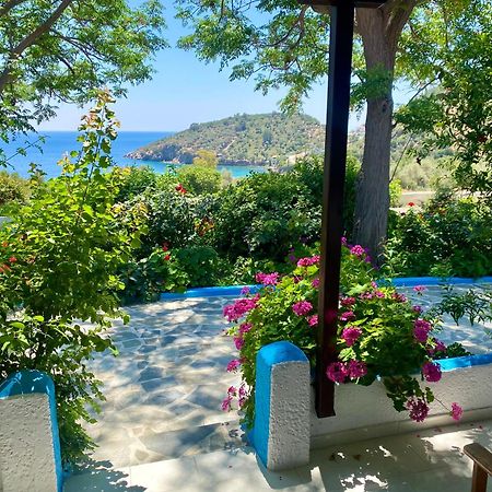 Studios Ioanna Limnionas Samos Marathókampos エクステリア 写真