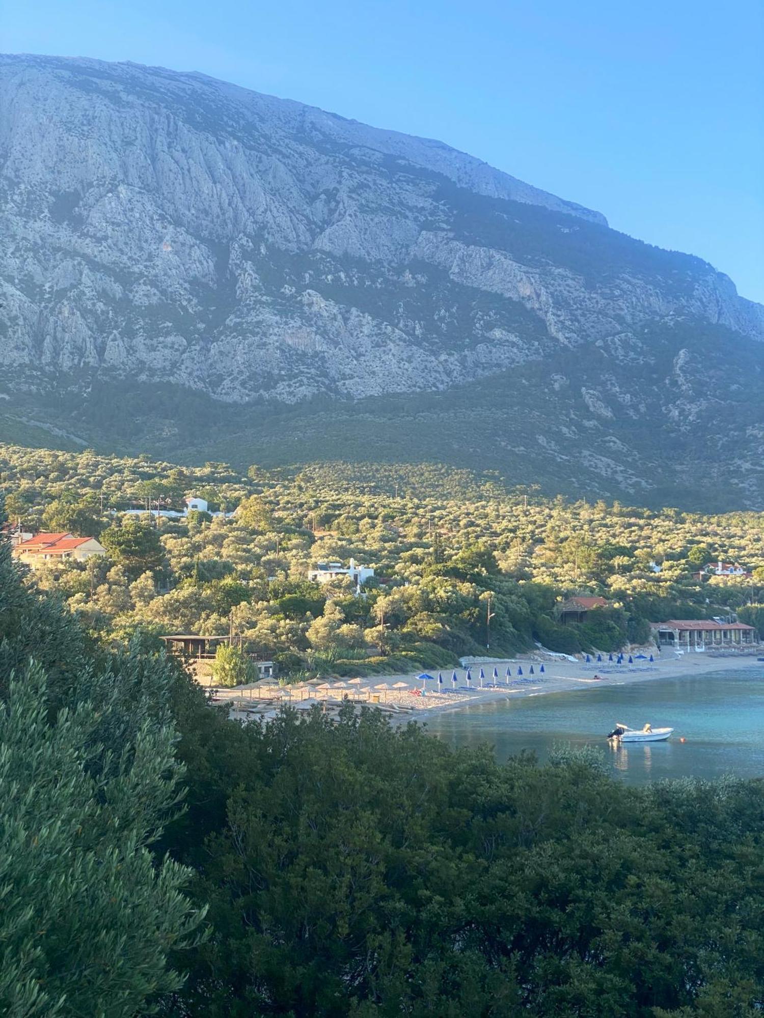 Studios Ioanna Limnionas Samos Marathókampos エクステリア 写真
